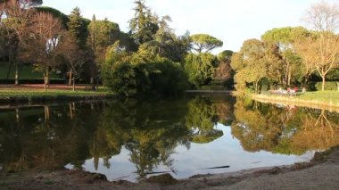 Su - sonbahar sahne Park orman yansıması