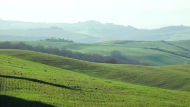 Toskana manzara Siena yakınındaki kırsal