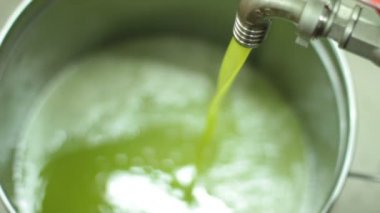 Üretim sızma zeytin süreci