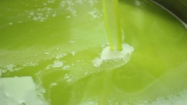 Üretim sızma zeytin süreci