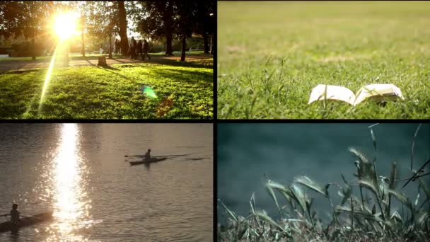 Skład - sceny w parku — Wideo stockowe