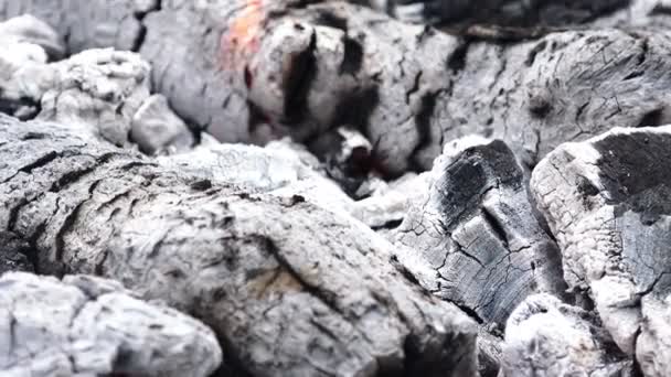 Spalone drewno na grilla — Wideo stockowe