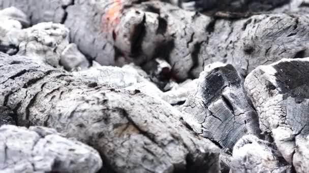 bois brûlé pour barbecue 