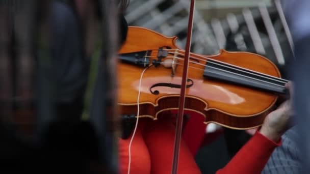 Musiker spielt Geige — Stockvideo