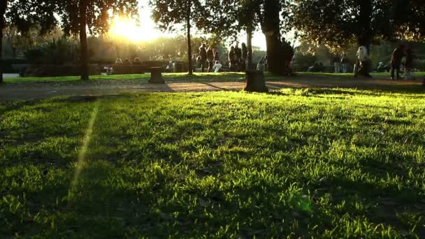 Menschen, die im Park spazieren — Stockvideo