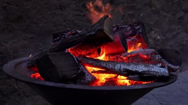 Wood burning in the fireplace — Stock Video