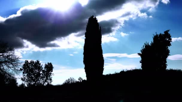 Silhouet van natuur landschap — Stockvideo