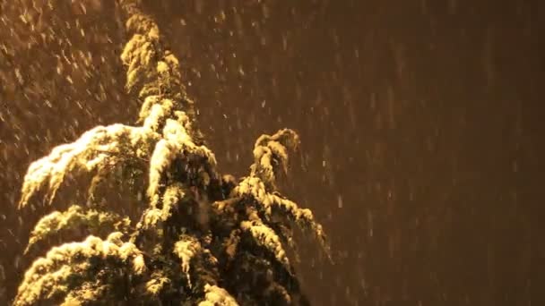 Cidade durante tempestade de neve — Vídeo de Stock