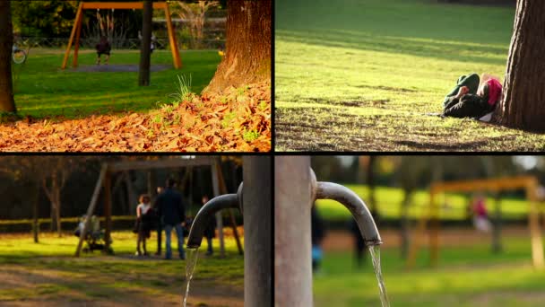 Scena jesień w parku - huśtawka, fontanna, Las odbicie w wodzie — Wideo stockowe