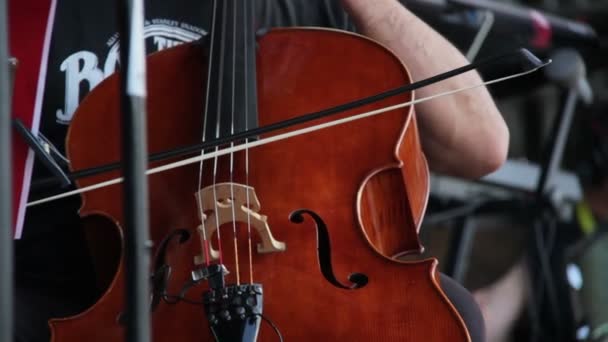 Musician playing on a contrabass — Stock video