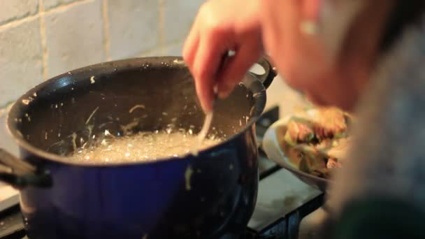 Cocinar experto freír pan y verduras — Vídeo de stock