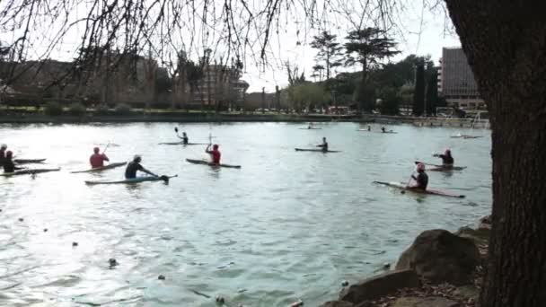 Canoa Polo em Roma — Vídeo de Stock