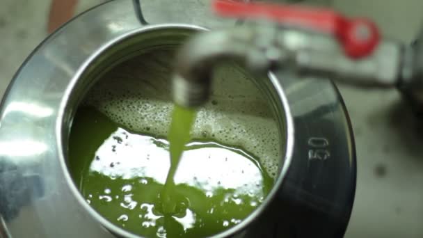 Processo di produzione olive extra vergini — Video Stock