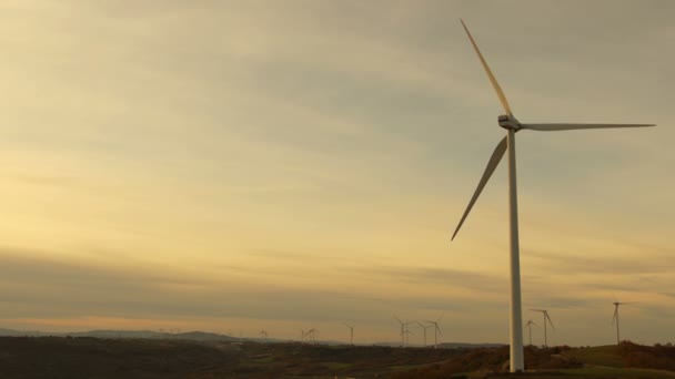 Wind turbines landscape — Stock Video