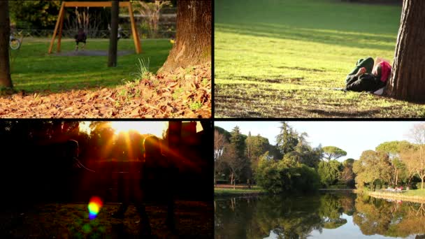 Scène van de herfst in het park - schommel, fontein, Forest weerspiegeling in het water — Stockvideo