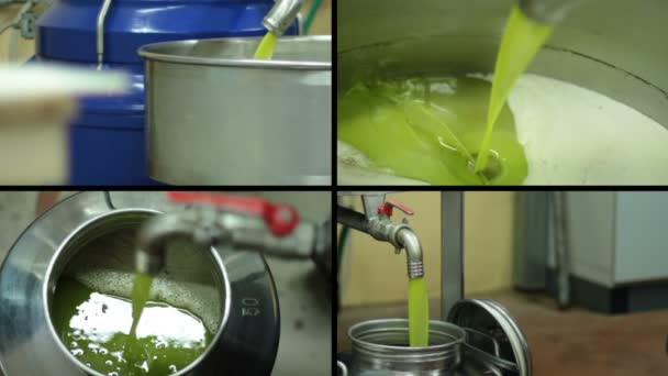 Proces produkcji z oliwek extra virgin — Wideo stockowe
