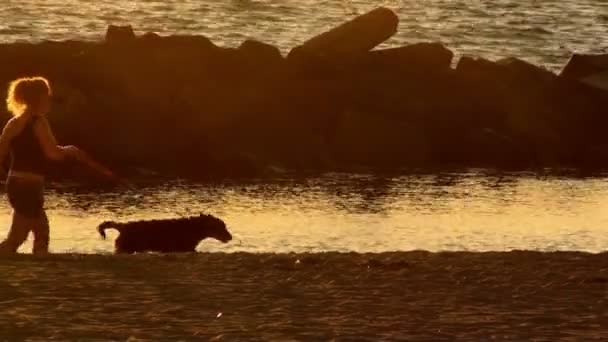 Junge Frau spaziert mit Hund am Strand bei Sonnenuntergang — Stockvideo