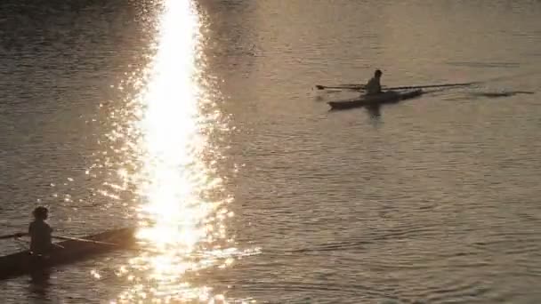 Piragüismo en el río — Vídeo de stock