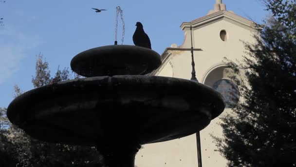 Retrato del foco en la fuente murble en Roma — Vídeo de stock