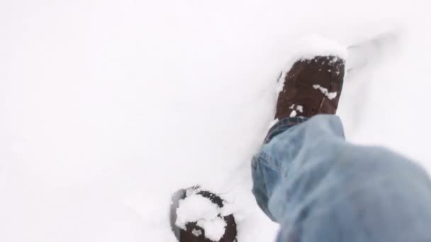 Caminhando na neve — Vídeo de Stock