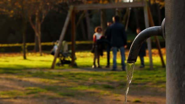 Fuente en primer plano y columpio de fondo - Escena de otoño en el parque — Vídeos de Stock