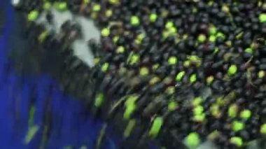 Üretim sızma zeytin süreci