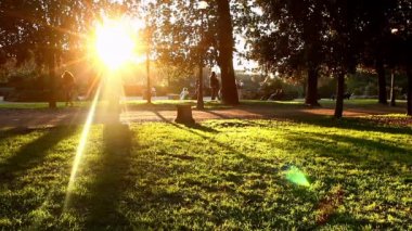 Parkta yürüyen insanlar.