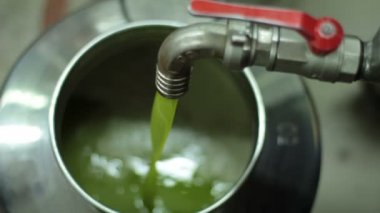 Üretim sızma zeytin süreci