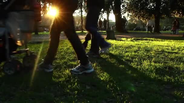 Люди ходять у парку — стокове відео