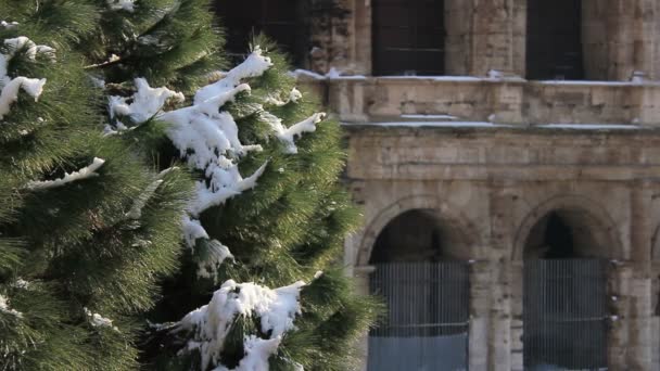 古罗马圆形竞技场的雪下 — 图库视频影像