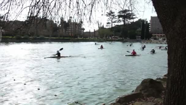 Polo canoë 4 — Video