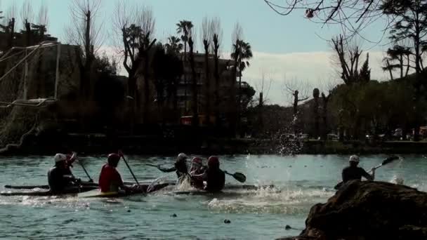 Torneio de pólo de canoa — Vídeo de Stock