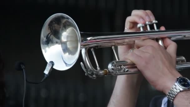 Detalhe do tocador de trompete — Vídeo de Stock