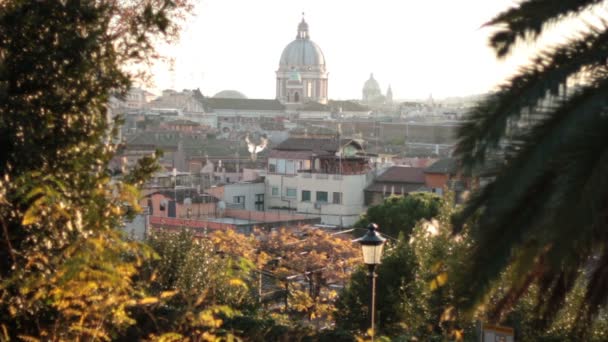 Overview of the Basilica of Saint Peter — Stock Video