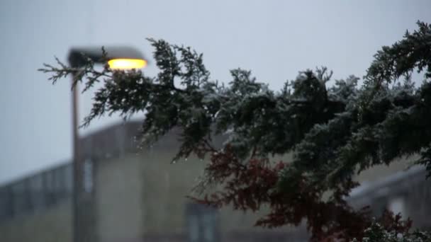 눈 폭풍 동안 도시 — 비디오