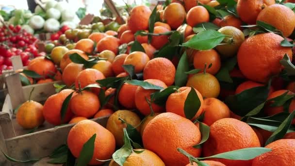 Naranjas y frutas en el mercado — Vídeo de stock