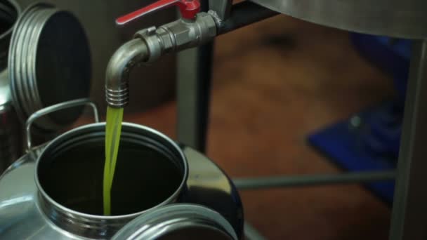 Process of production extra virgin olive — Stock Video