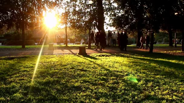 Gente caminando en el parque — Vídeos de Stock