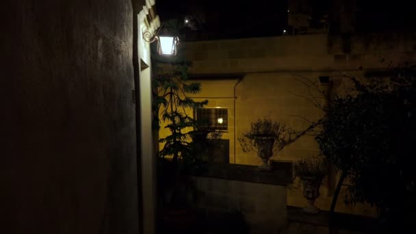 Ліхтарний стовп в ніч: світло у темряві — стокове відео