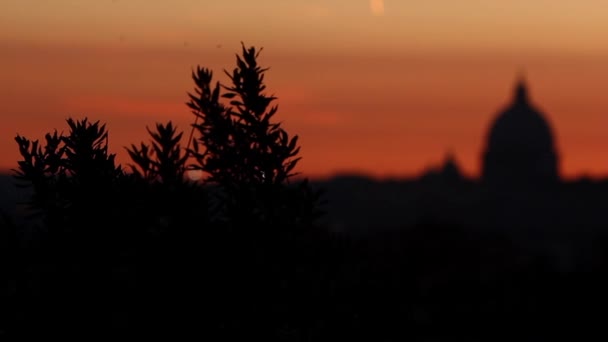 Saint Paul's Cathedral — Stock Video