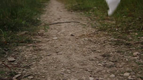 Pañuelo blanco en el viento en un camino de vacío, cayendo en el suelo — Vídeos de Stock