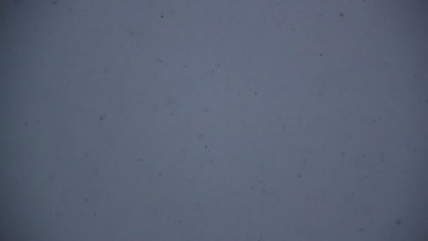 Apresentando queda de neve — Vídeo de Stock