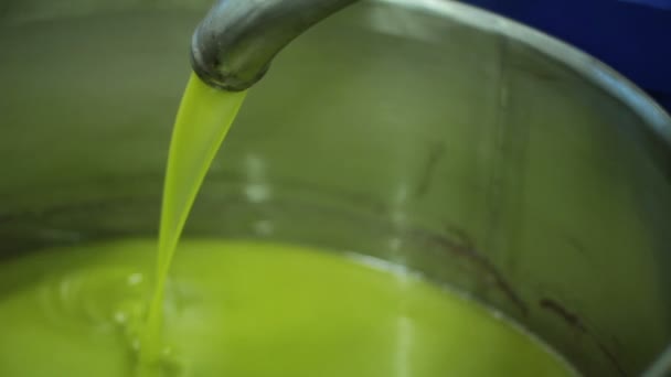 Produktionsprozess natives Olivenöl extra — Stockvideo