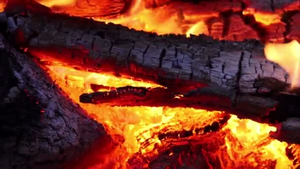 Hořící dřevo v krbu — Stock video