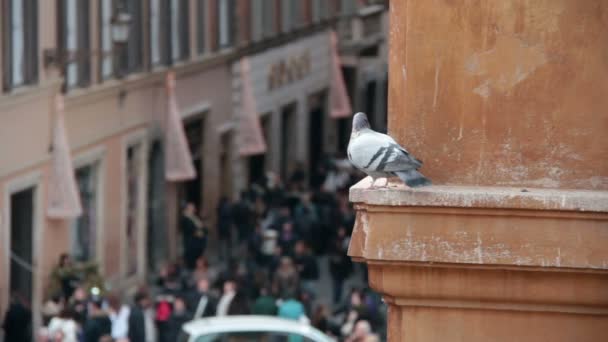 Menschen gehen in der Innenstadt spazieren — Stockvideo