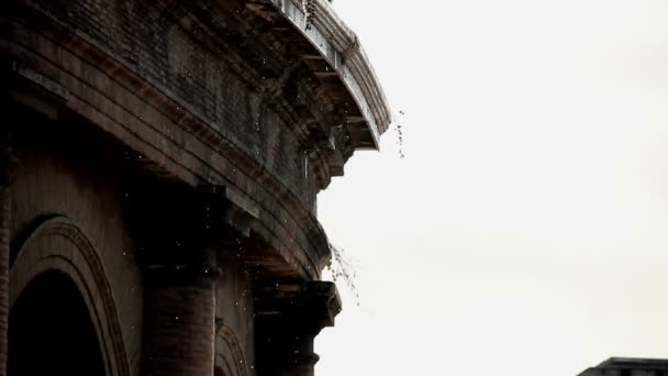 Roma sotto la neve - Colosseo - Febbraio 2012 — Video Stock