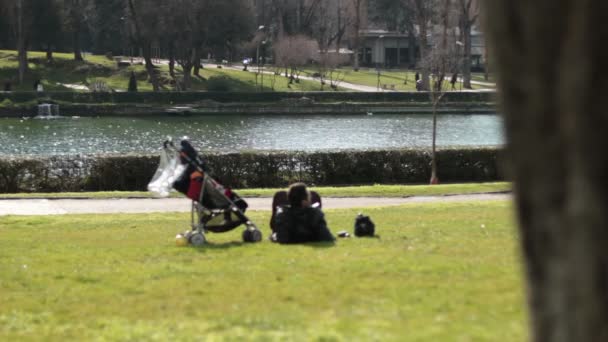 Детская коляска в парке — стоковое видео