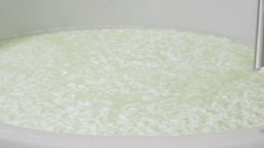 İtalyan mozzarella üretim süreci