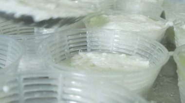 İtalyan mozzarella üretim süreci