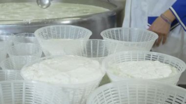 İtalyan mozzarella üretim süreci